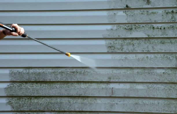 Best Affordable Pressure Washing  in Moyock, NC