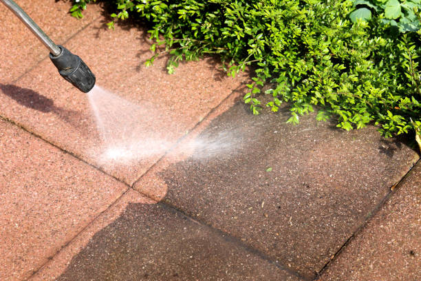 Best Pressure Washing Services for Businesses  in Moyock, NC